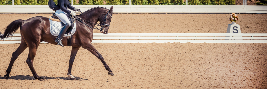 COVID-19 Liability:  Practical Guidance on Risk Management for Horse Shows and Competitions